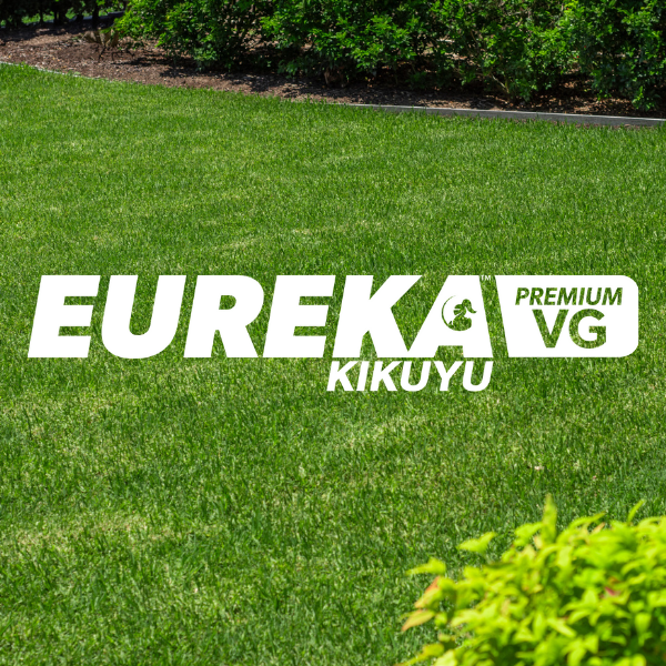 Eureka Premium VG Kikuyu